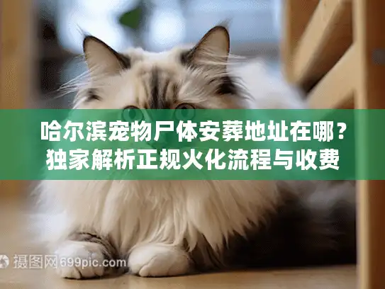 哈尔滨宠物尸体安葬地址在哪?独家解析正规火化流程与收费 哈尔滨宠物尸体安葬地址在哪?独家解析正规火化流程与收费