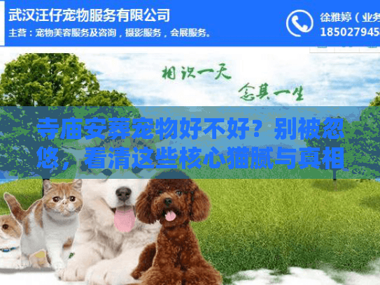 寺庙安葬宠物好不好?别被忽悠,看清这些核心猫腻与真相 寺庙安葬宠物好不好?别被忽悠,看清这些核心猫腻与真相