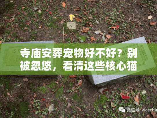 寺庙安葬宠物好不好?别被忽悠,看清这些核心猫腻与真相 寺庙安葬宠物好不好?别被忽悠,看清这些核心猫腻与真相