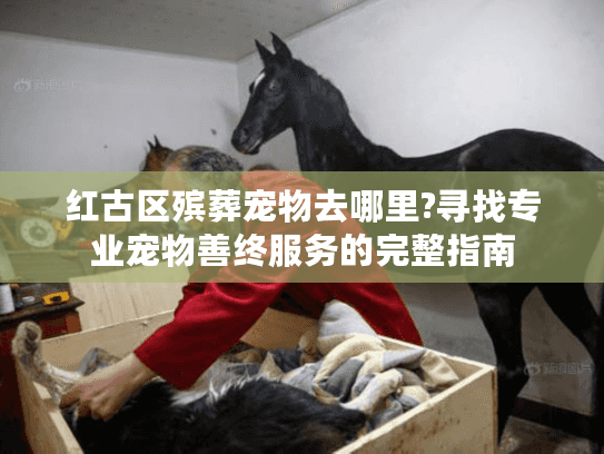 红古区殡葬宠物去哪里?寻找专业宠物善终服务的完整指南