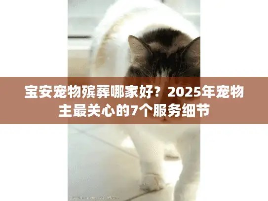 宝安宠物殡葬哪家好？2025年宠物主最关心的7个服务细节