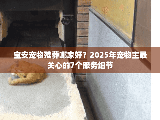 宝安宠物殡葬哪家好？2025年宠物主最关心的7个服务细节