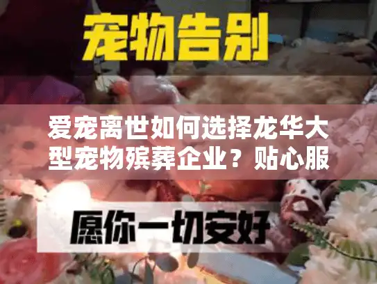 爱宠离世如何选择龙华大型宠物殡葬企业？贴心服务全解析