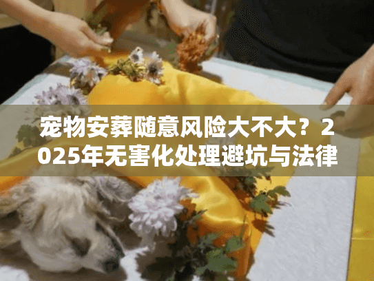宠物安葬随意风险大不大？2025年无害化处理避坑与法律红线