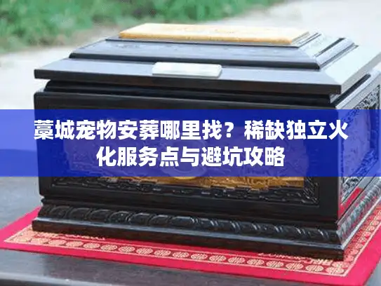 藁城宠物安葬哪里找？稀缺独立火化服务点与避坑攻略