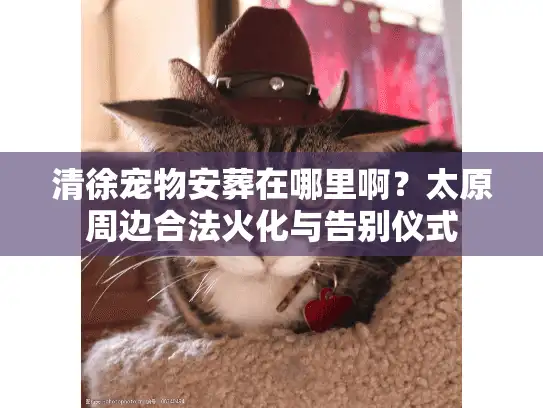 清徐宠物安葬在哪里啊？太原周边合法火化与告别仪式