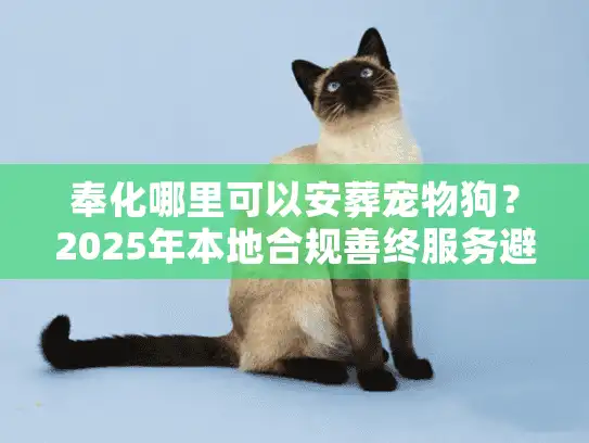 奉化哪里可以安葬宠物狗？2025年本地合规善终服务避坑实录