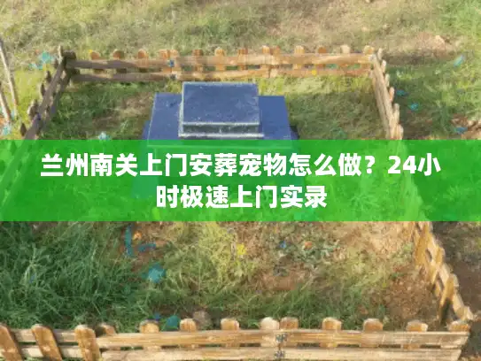兰州南关上门安葬宠物怎么做？24小时极速上门实录