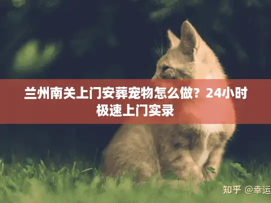 兰州南关上门安葬宠物怎么做？24小时极速上门实录