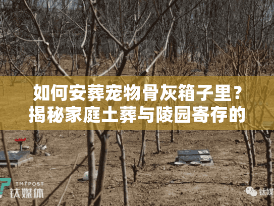 如何安葬宠物骨灰箱子里?揭秘家庭土葬与陵园寄存的实操门道 如何安葬宠物骨灰箱子里?揭秘家庭土葬与陵园寄存的实操门道