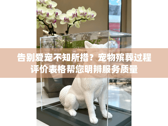 告别爱宠不知所措?宠物殡葬过程评价表格帮您明辨服务质量 告别爱宠不知所措?宠物殡葬过程评价表格帮您明辨服务质量