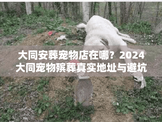 大同安葬宠物店在哪？2024大同宠物殡葬真实地址与避坑内幕