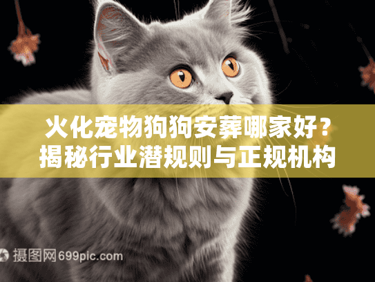 火化宠物狗狗安葬哪家好？揭秘行业潜规则与正规机构鉴别