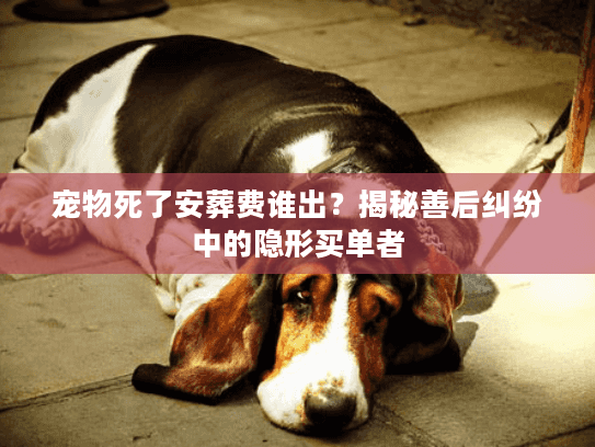 宠物死了安葬费谁出？揭秘善后纠纷中的隐形买单者
