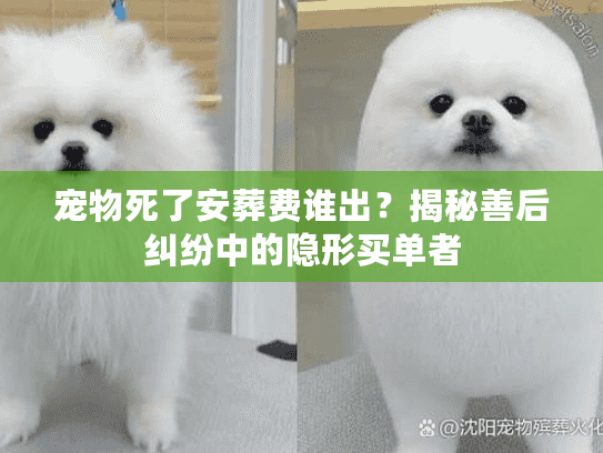 宠物死了安葬费谁出？揭秘善后纠纷中的隐形买单者