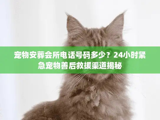 宠物安葬会所电话号码多少？24小时紧急宠物善后救援渠道揭秘