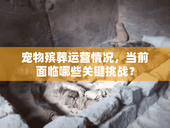 宠物殡葬运营情况，当前面临哪些关键挑战？