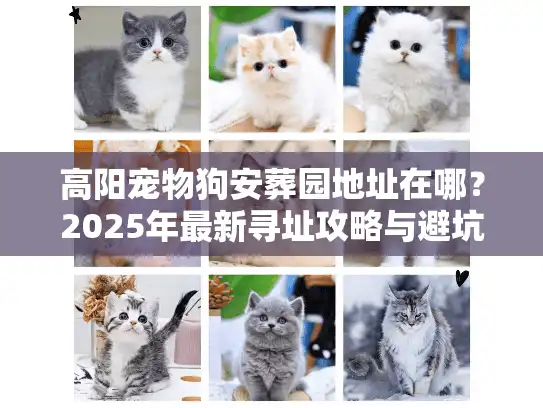 高阳宠物狗安葬园地址在哪?2025年最新寻址攻略与避坑实录 高阳宠物狗安葬园地址在哪?2025年最新寻址攻略与避坑实录