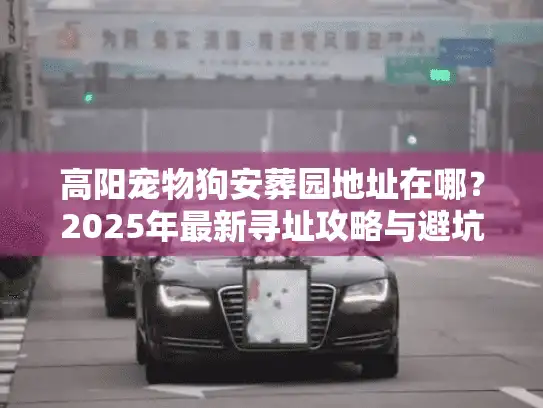 高阳宠物狗安葬园地址在哪?2025年最新寻址攻略与避坑实录 高阳宠物狗安葬园地址在哪?2025年最新寻址攻略与避坑实录