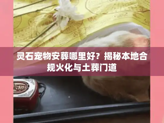 灵石宠物安葬哪里好？揭秘本地合规火化与土葬门道