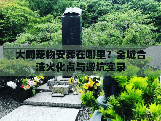 大同宠物安葬在哪里？全城合法火化点与避坑实录