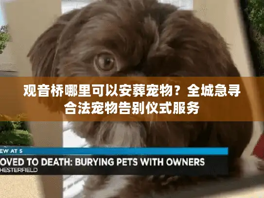 观音桥哪里可以安葬宠物？全城急寻合法宠物告别仪式服务