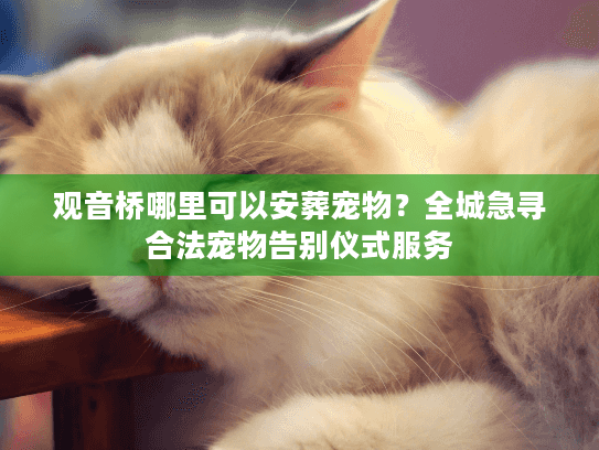 观音桥哪里可以安葬宠物？全城急寻合法宠物告别仪式服务