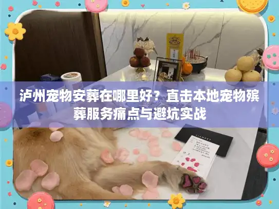 泸州宠物安葬在哪里好？直击本地宠物殡葬服务痛点与避坑实战