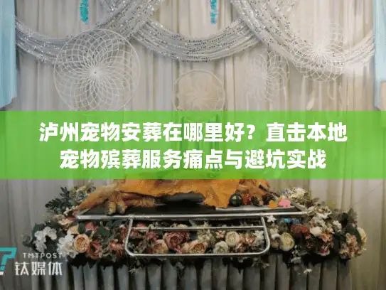 泸州宠物安葬在哪里好？直击本地宠物殡葬服务痛点与避坑实战