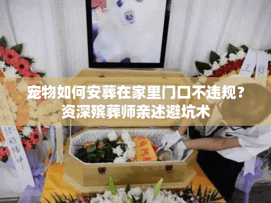 宠物如何安葬在家里门口不违规？资深殡葬师亲述避坑术