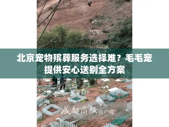 北京宠物殡葬服务选择难?毛毛宠提供安心送别全方案 北京宠物殡葬服务选择难?毛毛宠提供安心送别全方案