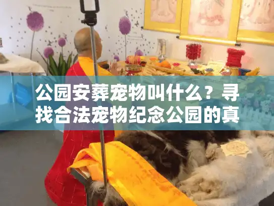 公园安葬宠物叫什么？寻找合法宠物纪念公园的真相