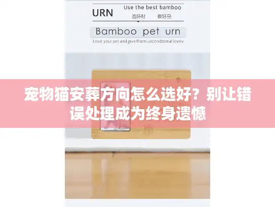 宠物猫安葬方向怎么选好?别让错误处理成为终身遗憾 宠物猫安葬方向怎么选好?别让错误处理成为终身遗憾