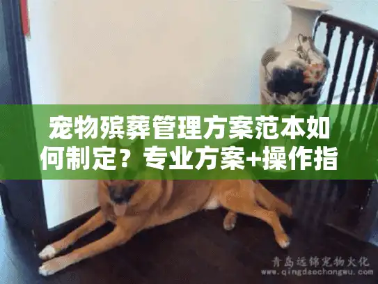 宠物殡葬管理方案范本如何制定?专业方案+操作指南助你避坑 宠物殡葬管理方案范本如何制定?专业方案+操作指南助你避坑