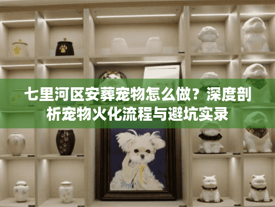 七里河区安葬宠物怎么做？深度剖析宠物火化流程与避坑实录