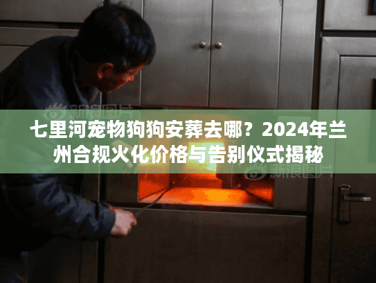 七里河宠物狗狗安葬去哪？2024年兰州合规火化价格与告别仪式揭秘