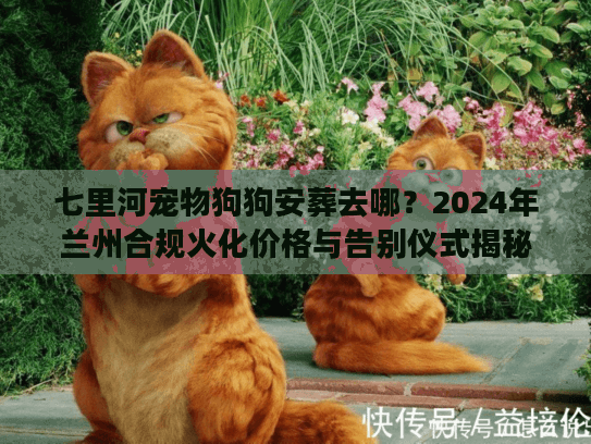 七里河宠物狗狗安葬去哪？2024年兰州合规火化价格与告别仪式揭秘