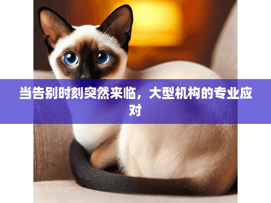 当告别时刻突然来临,大型机构的专业应对 当告别时刻突然来临,大型机构的专业应对