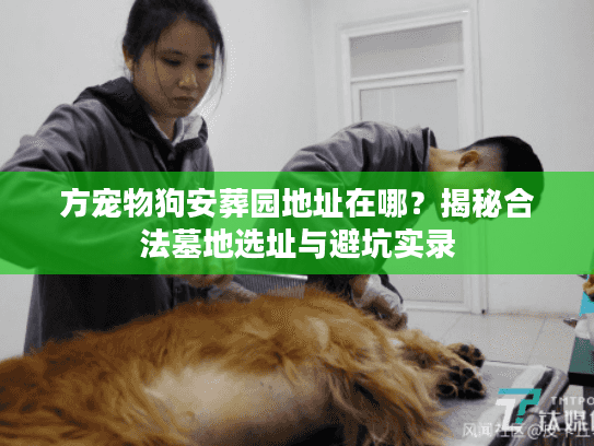 方宠物狗安葬园地址在哪？揭秘合法墓地选址与避坑实录
