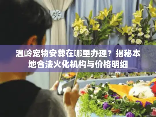 温岭宠物安葬在哪里办理？揭秘本地合法火化机构与价格明细