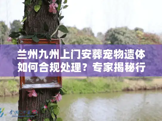 兰州九州上门安葬宠物遗体如何合规处理？专家揭秘行业内幕