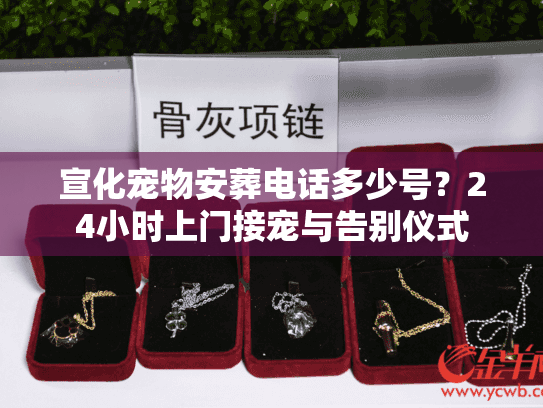 宣化宠物安葬电话多少号？24小时上门接宠与告别仪式
