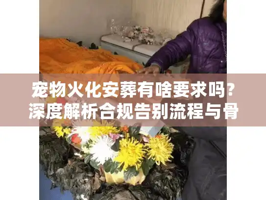 宠物火化安葬有啥要求吗？深度解析合规告别流程与骨灰处理实操