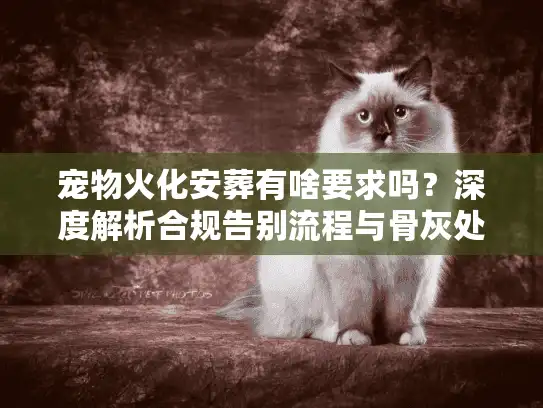 宠物火化安葬有啥要求吗？深度解析合规告别流程与骨灰处理实操
