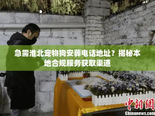 急需淮北宠物狗安葬电话地址？揭秘本地合规服务获取渠道