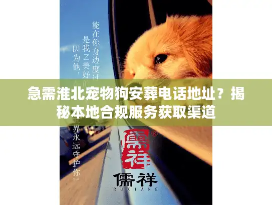 急需淮北宠物狗安葬电话地址？揭秘本地合规服务获取渠道