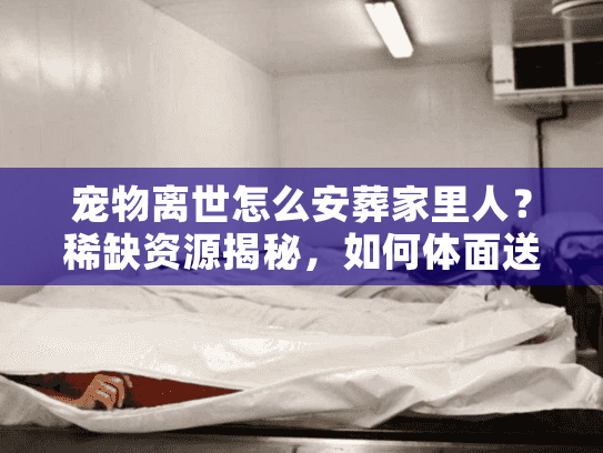 宠物离世怎么安葬家里人?稀缺资源揭秘,如何体面送别毛孩子 宠物离世怎么安葬家里人?稀缺资源揭秘,如何体面送别毛孩子