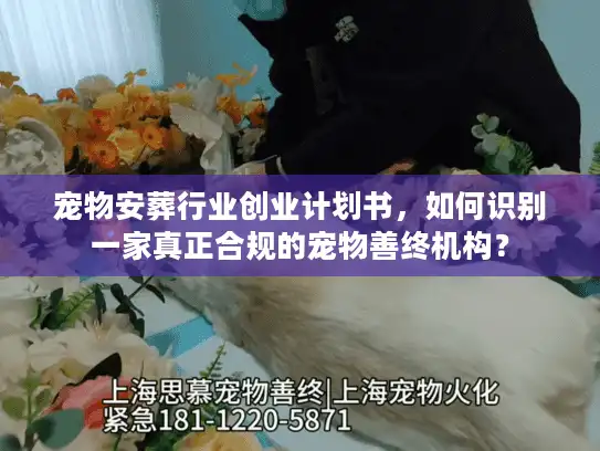 宠物安葬行业创业计划书,如何识别一家真正合规的宠物善终机构? 宠物安葬行业创业计划书,如何识别一家真正合规的宠物善终机构?