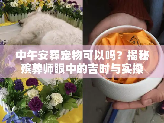 中午安葬宠物可以吗？揭秘殡葬师眼中的吉时与实操禁忌
