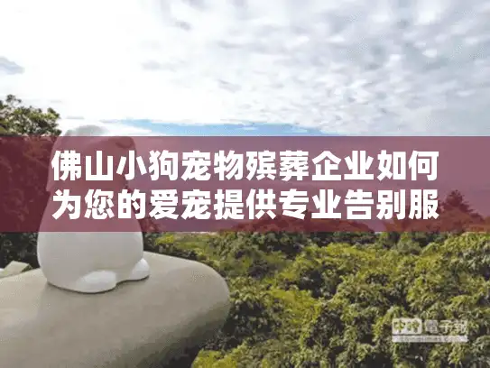 佛山小狗宠物殡葬企业如何为您的爱宠提供专业告别服务？